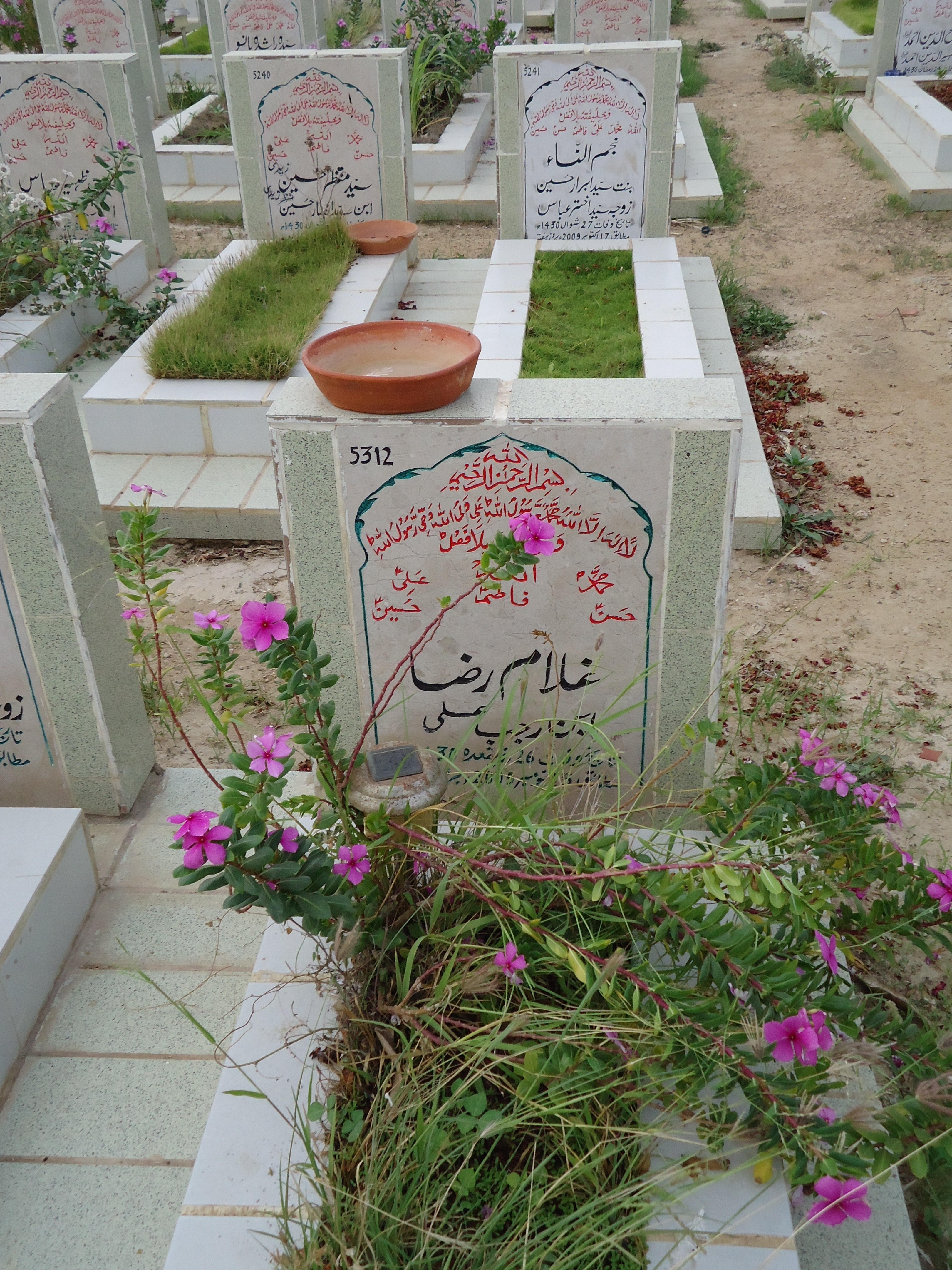 5312 – Ghulam Raza